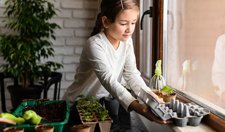 Рассада в феврале: что сеять, как ухаживать и чем подкормить