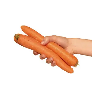 На сроке 21 неделя размер малыша примерно с морковь