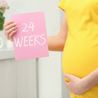 Беременность 24 Недели Развитие Плода Фото