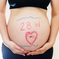 28 недель и 4 дня беременности вес ребенка