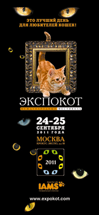 В минувшие выходные в Москве прошла одна из крупнейших в Европе кошачьих выставок