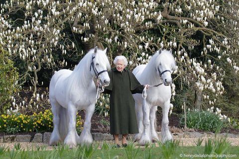 Английская королева Елизавета II отмечает 96 лет с любимыми пони