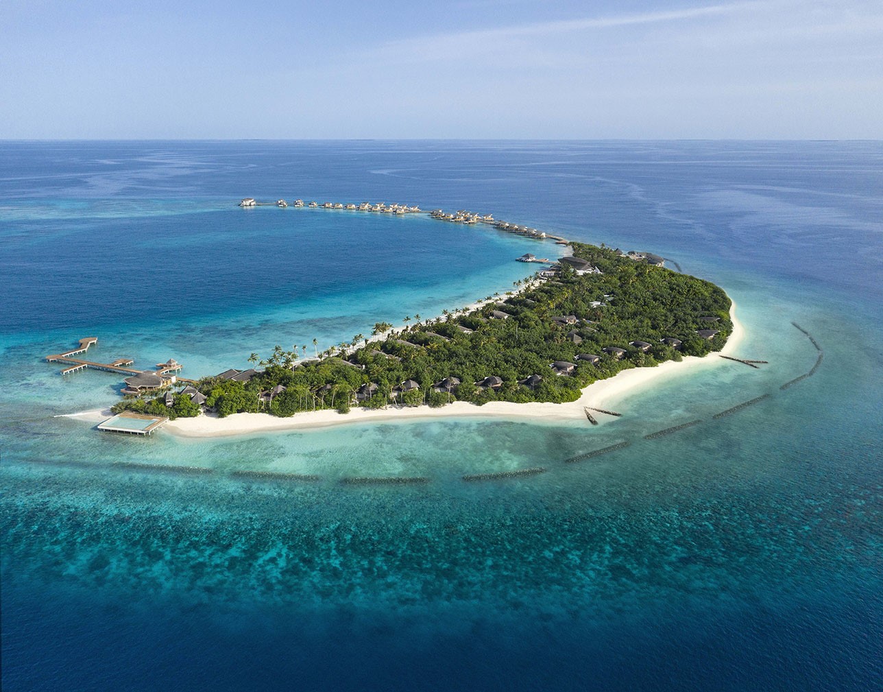 Морская жизнь на Мальдивах: миграция скатов и не только