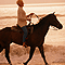 Кузбасский конный