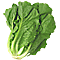 Забытые овощи — шпинат и пастернак