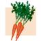 Морковь - целитель в оранжевом халате