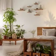 Сонное царство: лучшие комнатные растения для спальни