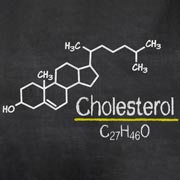 Нормы холестерина у женщин и мужчин. Кому принимать статины, а кому садиться на диету