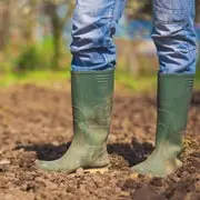 Галина Кизима: Сколько гумуса в почве на вашем участке? Тестируем и улучшаем почву