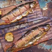 Стивен Райхлин: Копченый лосось и форель: 2 рецепта копчения рыбы
