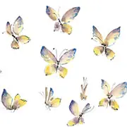 Как нарисовать бабочку красками: мастер-класс для начинающих