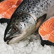 Какая рыба полезнее – замороженная, охлажденная или живая?