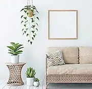 Ксения Занина: Как красиво расставить комнатные цветы в квартире