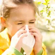Поллиноз или сенная лихорадка у детей