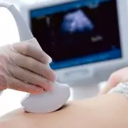 Как развивается эмбрион сразу после зачатия?