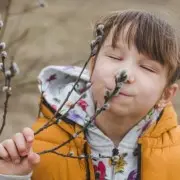 Окружающий мир весной: учим детей наблюдать за природными явлениями