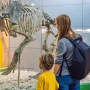 Музеи и дети: как и зачем ходить на выставки с ребенком