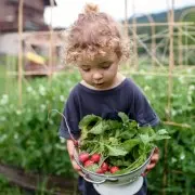 Как заинтересовать детей огородом