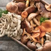 Грибная диета: 5 причин включить в рацион грибы