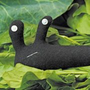 ������� ������ ������ - �� ������� ��� �����. ������ � ������