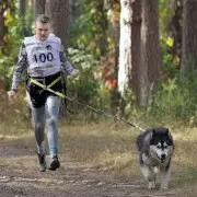 Занятия спортом детей с ОВЗ и собаки специального назначения