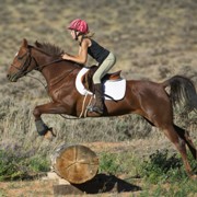 ���� ���������� "�������". ������� ������� � ���������� � �������