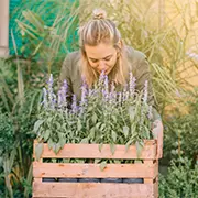 Какие травы и цветы на даче под запретом и чем это грозит