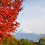 Япония: 8 самых красивых мест