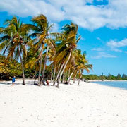 ����� �� ���� � ��������������: �������� �� ������ � ���� ��������