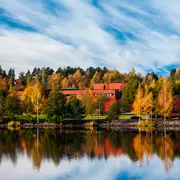 Кристина Гросс-Ло: Школьное образование в Финляндии и США: где лучше?