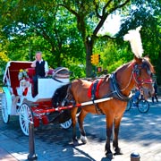 ���-����: 5 ����� ����������� �����������