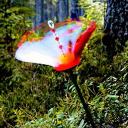 �������� ������ ������ � ��� ���� � �������� ��������