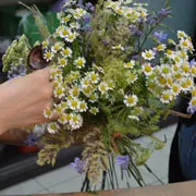 Полевые цветы: букет своими руками. Мастер-класс с фото