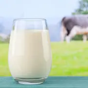 Надо ли пить молоко – и сколько? Правда и мифы о молочных продуктах
