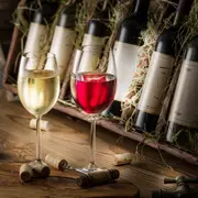 Десять популярных направлений для любителей вина
