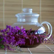 Дария Платонова: Как заготавливать иван-чай в домашних условиях: запланируйте отпуск