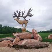 Природный парк "Олений" в Липецкой области: здесь есть не только олени!