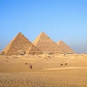 Египет под парусом: доплывёт ли фелука до середины Нила?