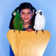 Не купить ли попугая? 