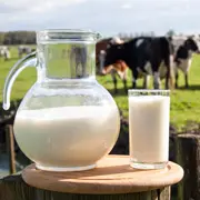 Сэлли Фэллон, Мэри Г. Энниг: 6 причин перестать пить молоко из супермаркета