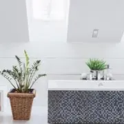 Оксана Джетер: Комнатные растения в ванной