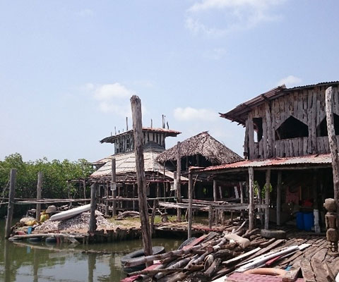 ������ �� ���� ������: ����, ���� � ������� ����� 