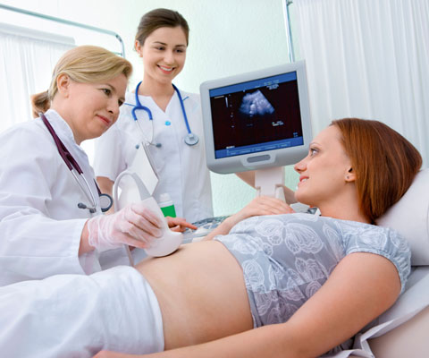 УЗИ на ранних сроках беременности: стоит ли делать, вредно или нет для плода?