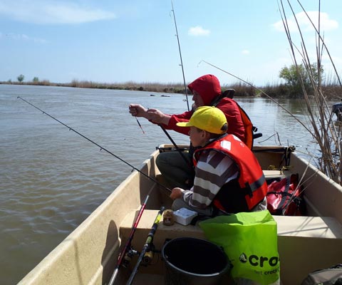 ������� ��� ���������� �� �������: ����������� ���� � ����� � ������