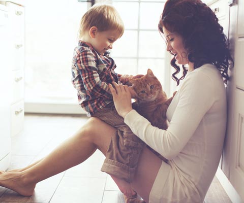 Как выбрать котёнка для семьи с детьми