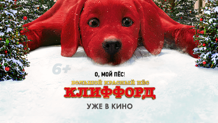 Что моя собака хочет мне сказать?