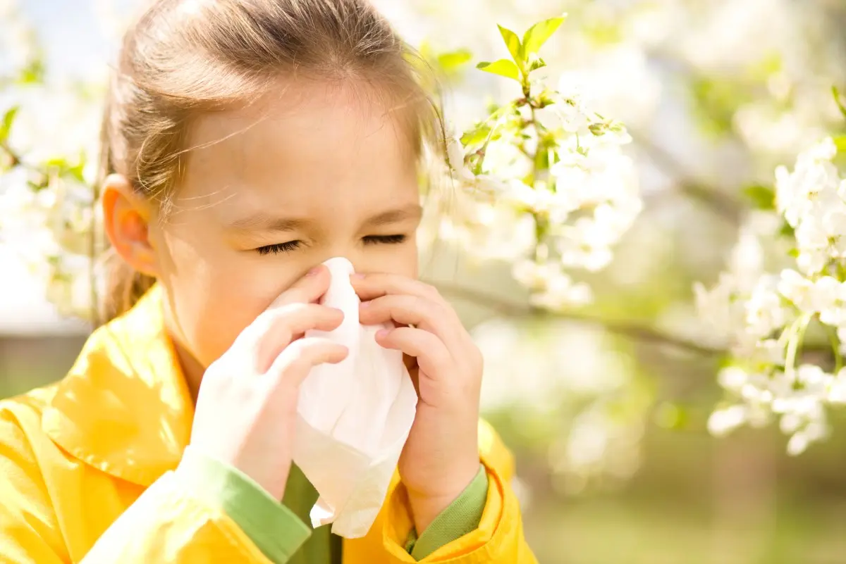 Аллергия на пыльцу березы и других деревьев