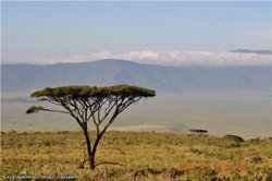 Путешествие в Кению и Танзанию