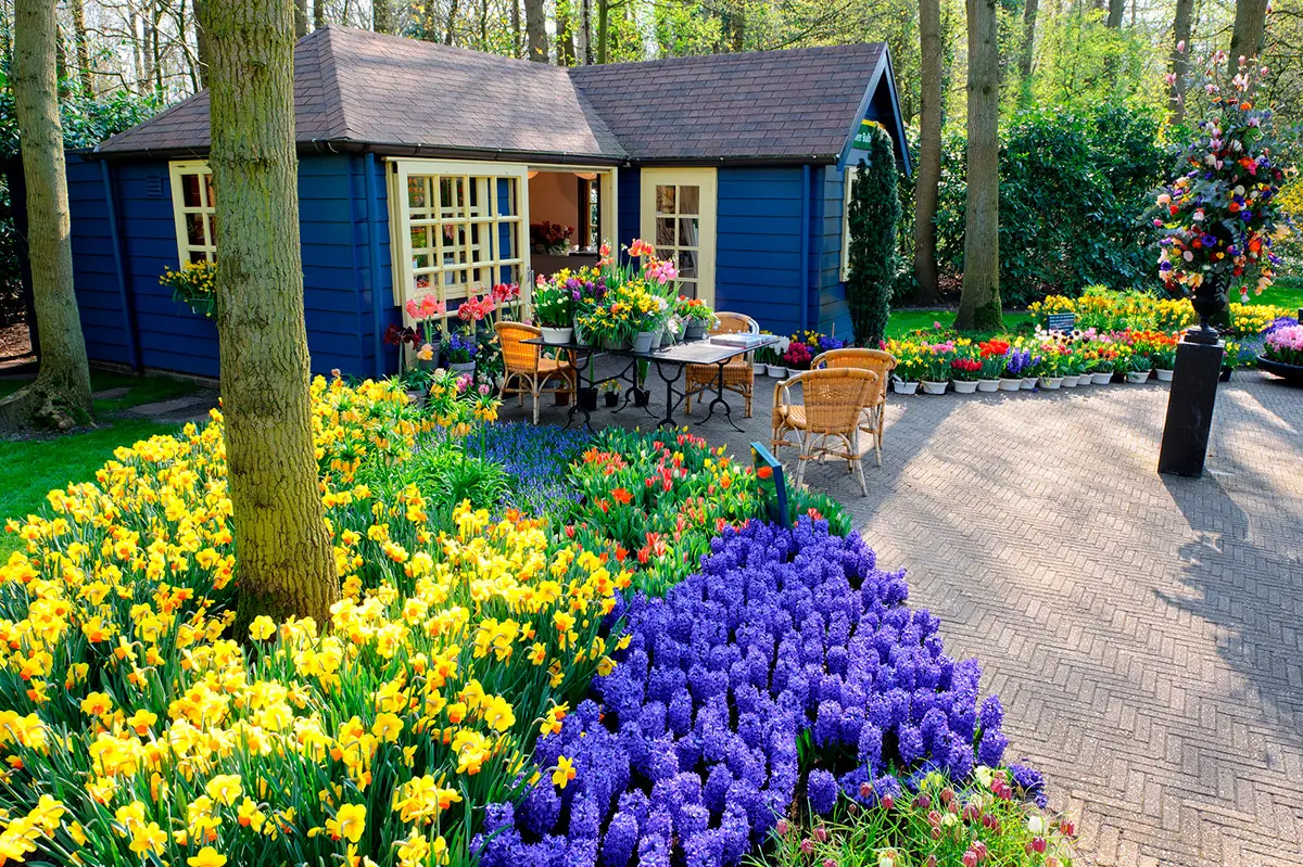 Клумбы и цветники для сада - своими руками. 10 интересных способов. Цветники в саду