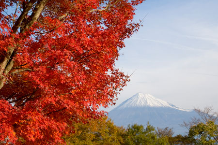 Япония: 8 самых красивых мест